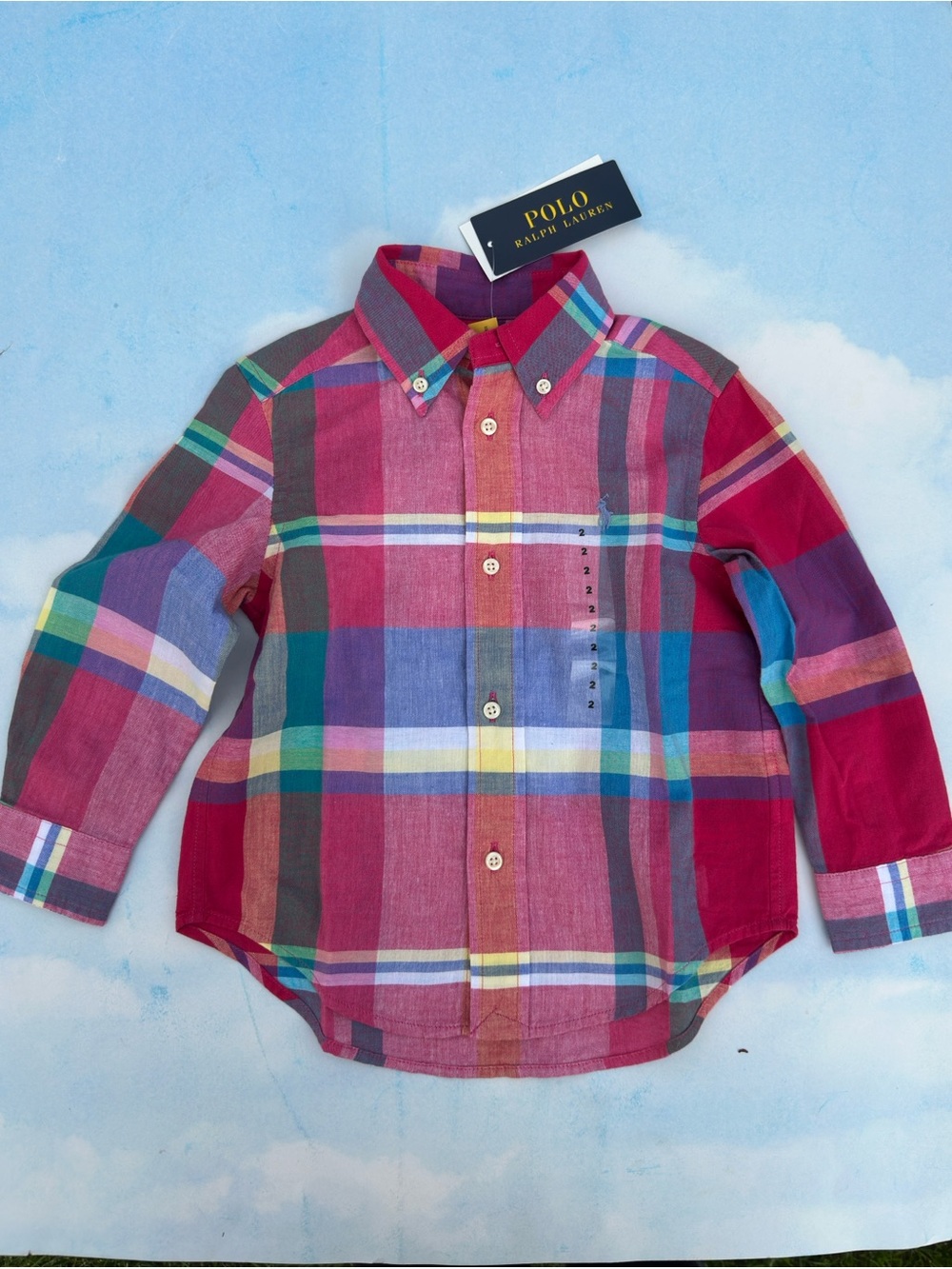 Polo by Ralph Lauren Boys' Multicolor Plaid Button-Down Shirt - Red Focus